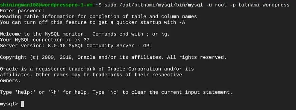 ターミナル:BitnamiのMySQLに接続完了