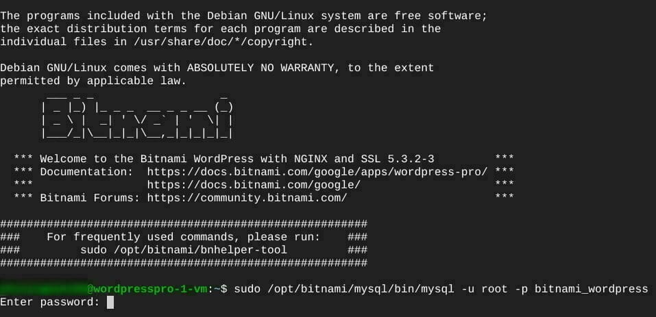 ターミナル：BitnamiのMySQLに接続