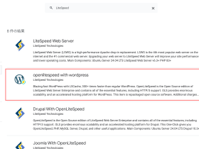 [Google Cloud] Marketplace で「LiteSpeed」を検索する