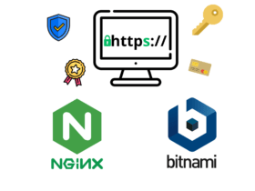 Nginx&Bitnami でSSL 更新