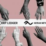 XRP Ledger の NERIAN NETWORK