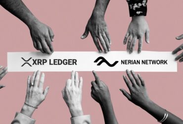 XRP Ledger の NERIAN NETWORK